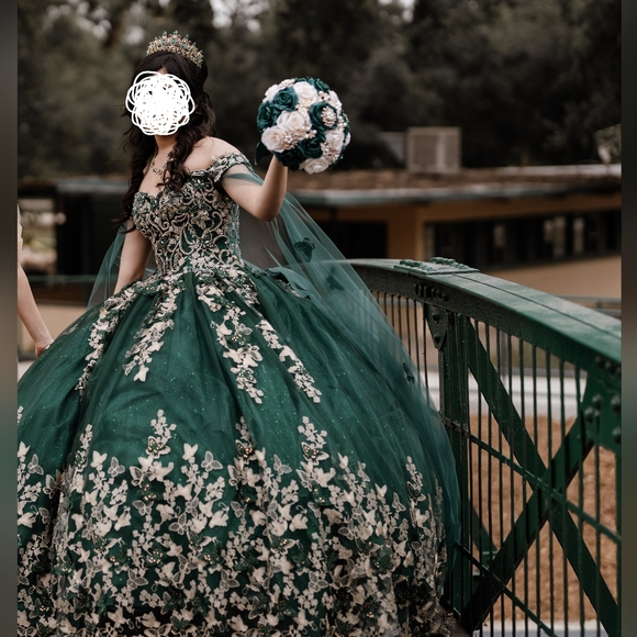 Beautiful Quinceanera Dress - Picture 2 of 2